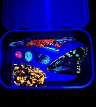 Load image into Gallery viewer, Fluorescent nature specimens (individual)