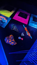 Load image into Gallery viewer, Neon Nature kit