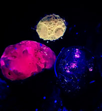 Load image into Gallery viewer, Fluoro Fizz pouches (individual, refill)