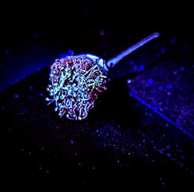 Load image into Gallery viewer, Neon Nature kit