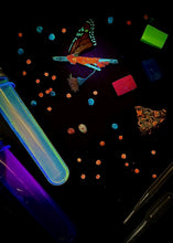 Load image into Gallery viewer, Neon Nature kit