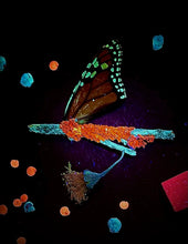 Load image into Gallery viewer, Neon Nature kit