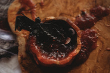 Load image into Gallery viewer, Vampire Slime Powder