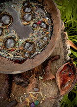 Load image into Gallery viewer, Witch's Fizz