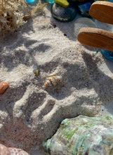 Load image into Gallery viewer, Fossick EarthFizz