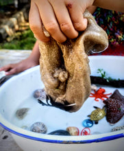 Load image into Gallery viewer, MakeMUD Slime - Sand