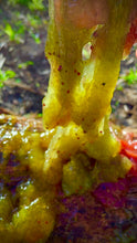 Load image into Gallery viewer, Monster Slime Powder